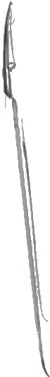 Debakey Endarterectomy Ciseaux