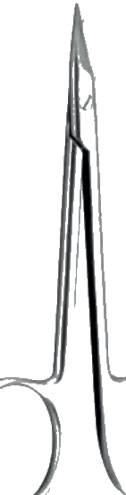 Schuhknecht Ciseaux vasculaires